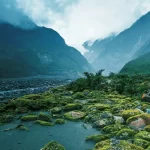 Visa Rules Change: New Zealand Revises Visa Policies to Benefit Indian Workers