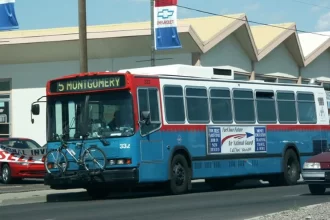 Petrol vs CNG: Which Fuel Offers the Best Value?