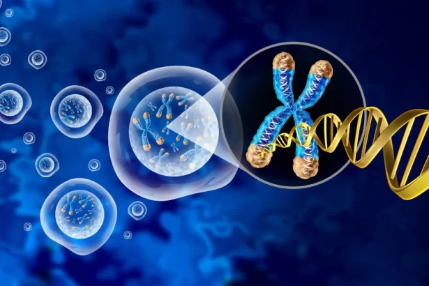 First Phase of the Genome India Project Completed: Here’s What You Should Know