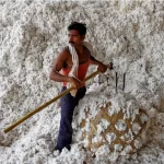 Indian government extended the cotton duty exemption by three months