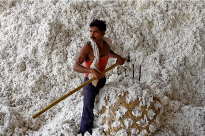 Indian government extended the cotton duty exemption by three months