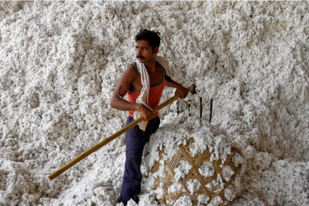 Indian government extended the cotton duty exemption by three months