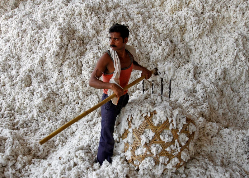 Indian government extended the cotton duty exemption by three months