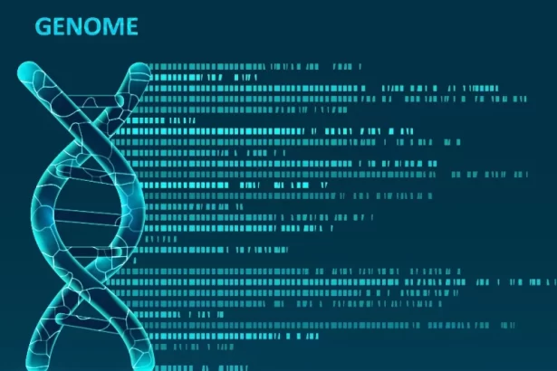 World’s first functioning AI genome created by scientists