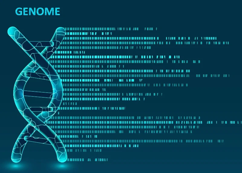 World’s first functioning AI genome created by scientists