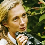 Climate activist and primatologist, Jane Goodall, dies at 91