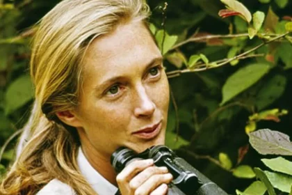 Climate activist and primatologist, Jane Goodall, dies at 91