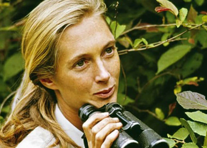 Climate activist and primatologist, Jane Goodall, dies at 91