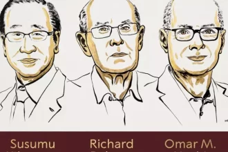 The 2025 Nobel Peace Prize was awarded for the construction of the ‘Metal organic framework’