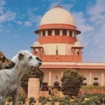 Supreme Court highlights “disturbing increase” in stray dog bites in public and private institutions