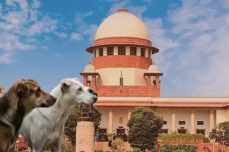 Supreme Court highlights “disturbing increase” in stray dog bites in public and private institutions