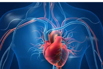 New study confirms prediabetic conditions can lead to heart disease