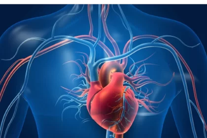 New study confirms prediabetic conditions can lead to heart disease